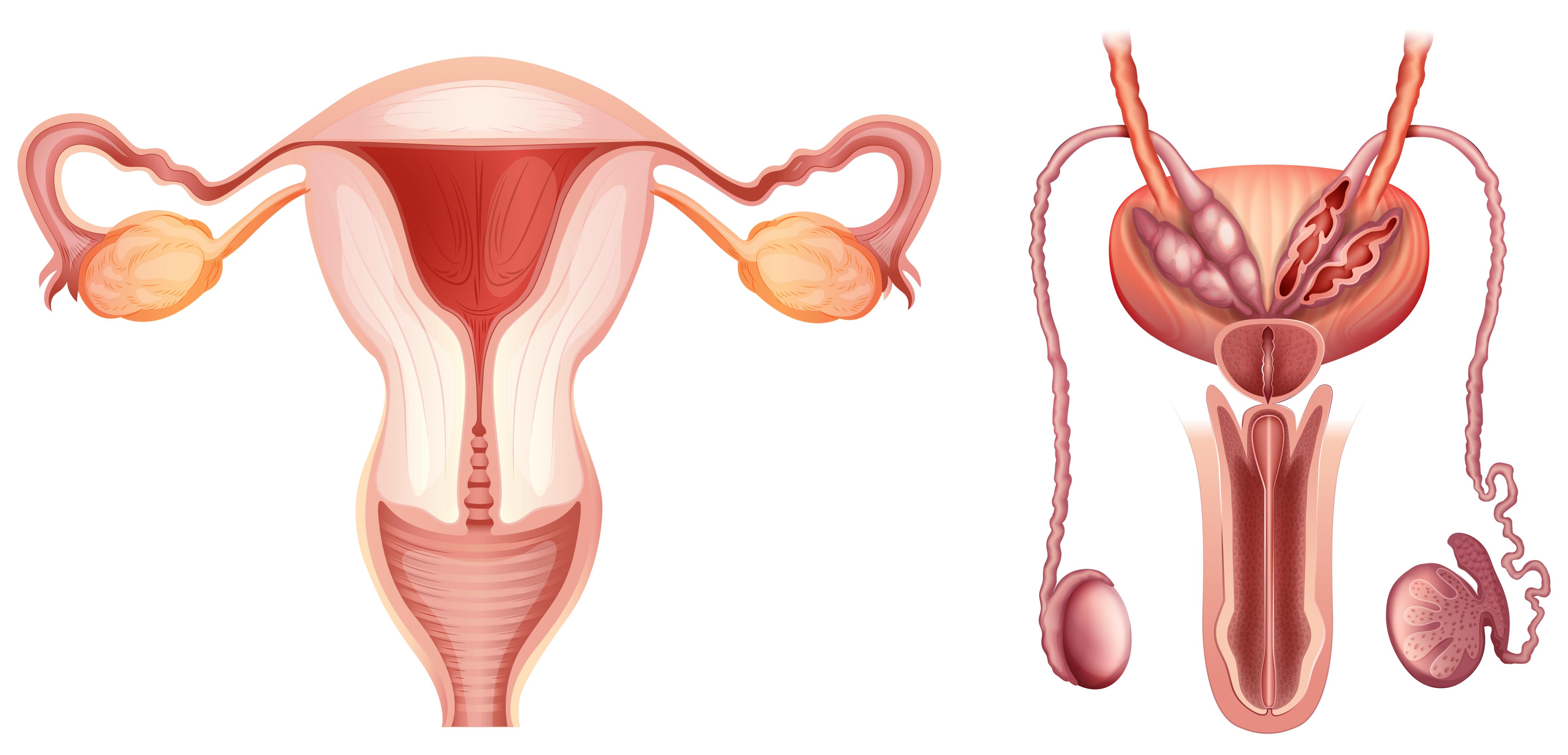 specailist for prostate treatment in hyderabad